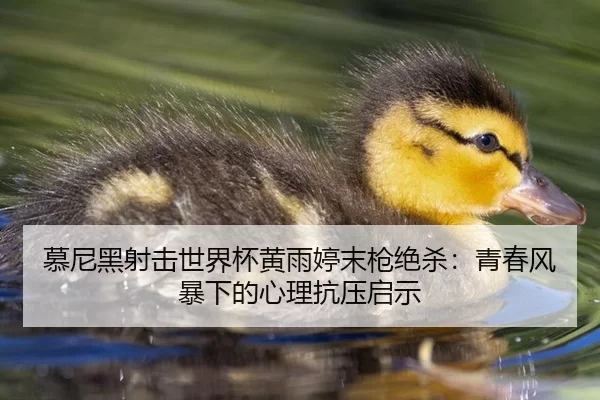 慕尼黑射击世界杯黄雨婷末枪绝杀：青春风暴下的心理抗压启示