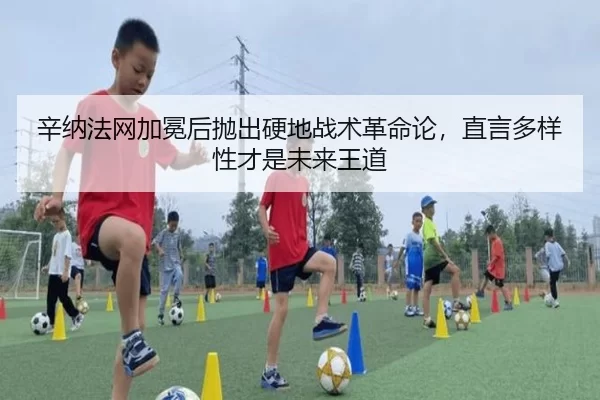 辛纳法网加冕后抛出硬地战术革命论，直言多样性才是未来王道